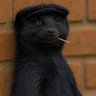 Nonchalant guy ๐'s profile picture