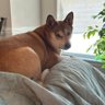 Profilbild von Sandy