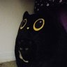 Profilbild von poopycrypto