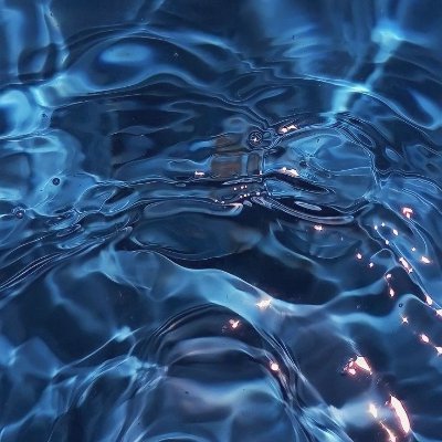 psshhy's profile picture