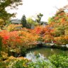 Фото профиля つぼみ