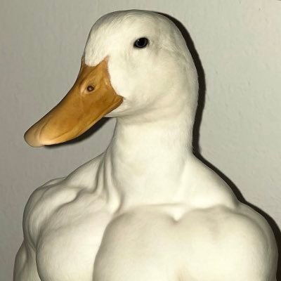 bulking treason's profile picture