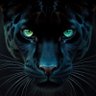 Profilbild von Andrew A