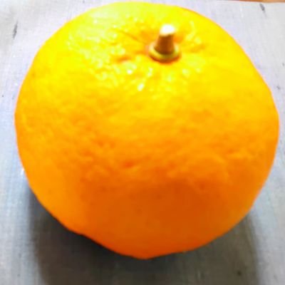 祐佳's profile picture