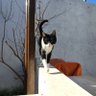 zebaz007 profil fotoğrafı