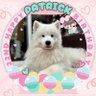 Mark4💗🐰🐶 profil fotoğrafı