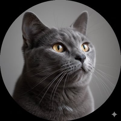 へちまねこ's profile picture