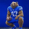 Profilbild von LFG Cougs