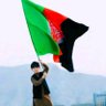 سباوون هیواد 的头像