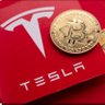 Profilbild von TESLA-비더플