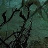 Фото профиля bog man