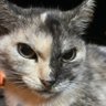 misaki profil fotoğrafı