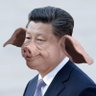 習豬頭 profil fotoğrafı