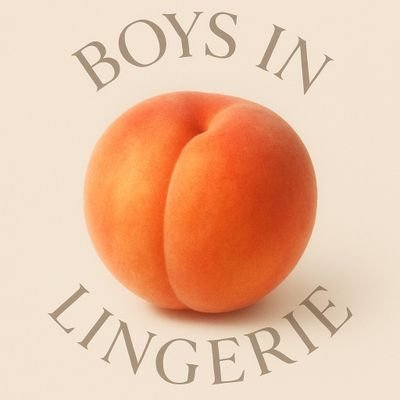 lingerieboyss's profile picture