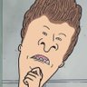 Profilbild von not here