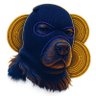 SKIYEEE profil fotoğrafı