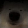 hhv's profile picture