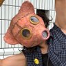 Profilbild von イカ太郎 🐷🐸