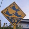 神内 焔 的头像