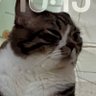 nova profil fotoğrafı