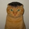 Hayatın İçinden..🦋 profil fotoğrafı