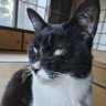 やっぱり実話怪談だね❗️。 profil fotoğrafı