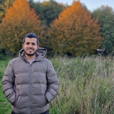 Mostafa Morra's profile picture