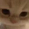 xNlIIIiL's profile picture