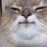 Felix's profile picture