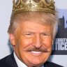 Ultra Nuclear Jacque Francoise, King of the World.'s profile picture