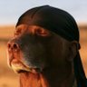Profilbild von ruff prophet