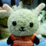 Emi's profile picture
