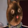FieldMarshalSillyCat 的头像