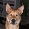 Profilbild von Simon
