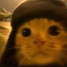 Фото профиля NormalCat