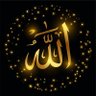 Profilbild von Tashkeel Sangi