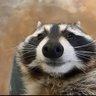 Nite's profile picture