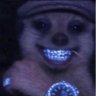 Meelzogar's profile picture