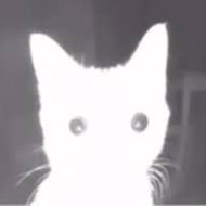 Mark.RPG's profile picture