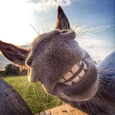 Gargabil's profile picture