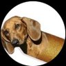 Dr_Jizz_Respect's profile picture