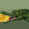 Criptotimsah.base.eth's profile picture