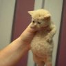 indyyyy - semi ia profil fotoğrafı