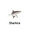 Фото профиля Sharrkkyy