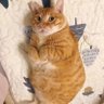 @吕小树 profil fotoğrafı