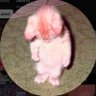 chandol's profile picture