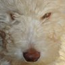 Frendzplz's profile picture