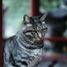 亨利's profile picture