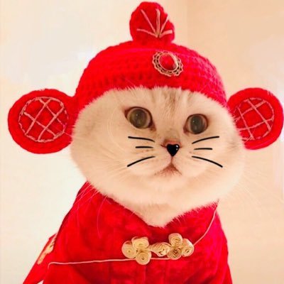 daijumao2025's profile picture