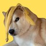 Doggo & Catto The Traders's profile picture